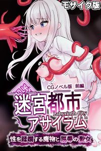 迷宮都市アサイラム CGノベル版 モザイク版 【k187afrnt10913】