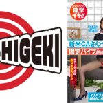 新米 CA さん固定バイブ超過激リポート! 2 アナウンス原稿を読み切ることができた100 万円!断念したらガニ股黒パンストに即ズボ罰ゲーム みさきさん(28歳)CA歴1年