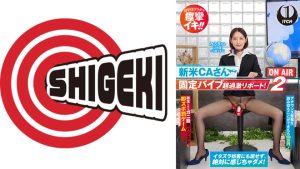 新米 CA さん固定バイブ超過激リポート! 2 アナウンス原稿を読み切ることができた100 万円!断念したらガニ股黒パンストに即ズボ罰ゲーム みさきさん(28歳)CA歴1年