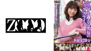 シニアを迎える男女のセックスライフ8組120分 進藤由紀乃 宮沢小雪 上原千尋 時越芙美江 岩下菜津子