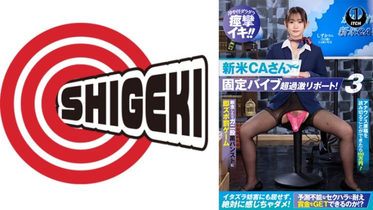 新米 CA さん固定バイブ超過激リポート!3 アナウンス原稿を読み切ることができた100 万円!断念したらガニ股黒パンストに即ズボ罰ゲーム しずかさん(23歳)CA歴1年目