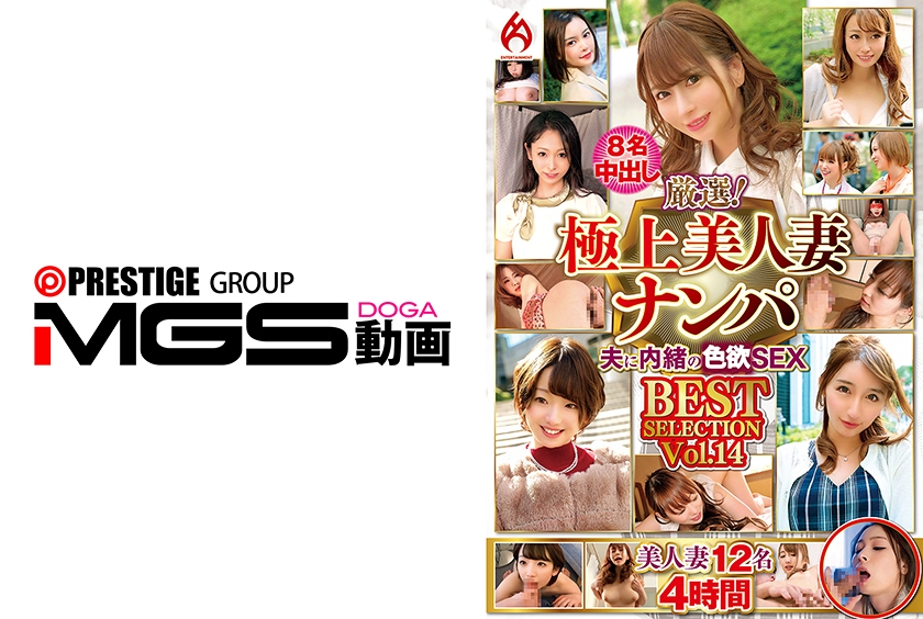 厳選!極上美人妻ナンパ 夫に内緒のSEX BEST SELECTION Vol.14