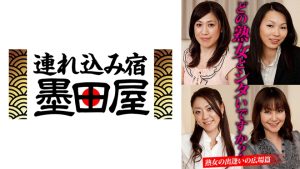 どの熟女とシタいですか？熟女の出逢いの広場篇