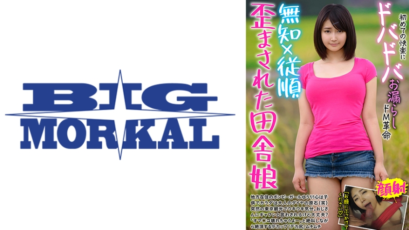 歪まされた田舎娘 無知×従順 初めての快楽にドバドバお漏らしドM革命 ゆうり 浅田結梨