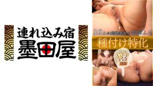 種付け特化Amazing 13発射！！10人の超絶美女に中出し！！ 星野あかり 春菜はな 高美はるか 辻井ほのか 中村知恵