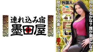 外国人とSEX！何が出るかな！誰が来るかな？見てからのお楽しみ！20人 vol.2