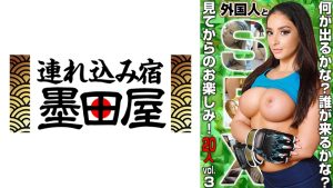 外国人とSEX！何が出るかな！誰が来るかな？見てからのお楽しみ！20人 vol.3