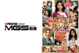 厳選！極上美人妻ナンパ 夫に内緒のSEX BEST SELECTION Vol.15