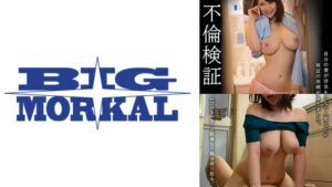 不倫検証 自分の妻が浮気をしない人間なのか検証の依頼が届きました。【ひびき】 星野ひびき