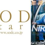 配送中NTR 既婚ベテランドライバーの配送に付いて回るうち車中で… 新婚人妻 恋渕ももな