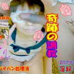 人妻好きなら気になる、清楚系の人妻の存在感に思わず目が止まる｜FC2【清楚人妻調教まゆNo102 ノーモザイク局部マスキング、セーラーコス…】
